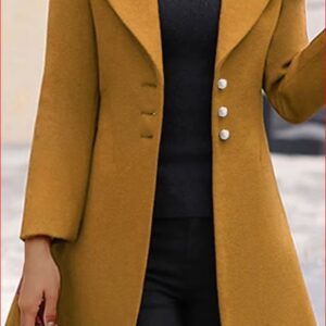 Manteau 3293