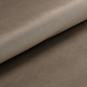 VELOURS DE SOIE LISSE1